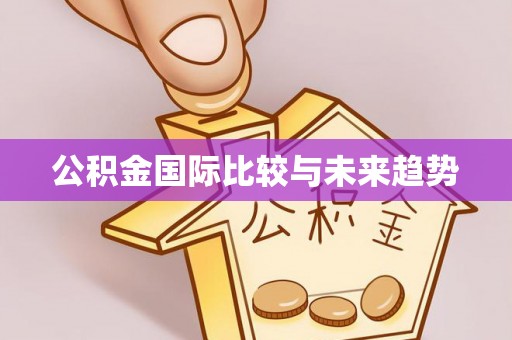 水上公积金国际比较与未来趋势