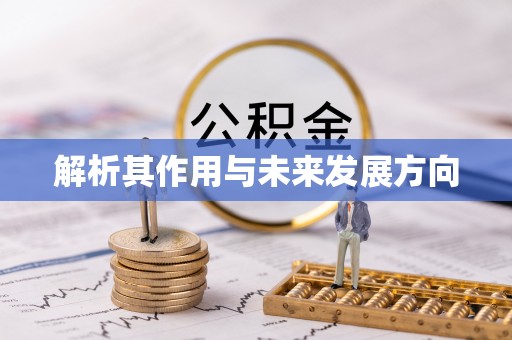 土默特左旗解析其作用与未来发展方向